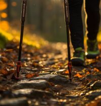 Bâtons trail-running pour débutants : Les conseils d’achat essentiels